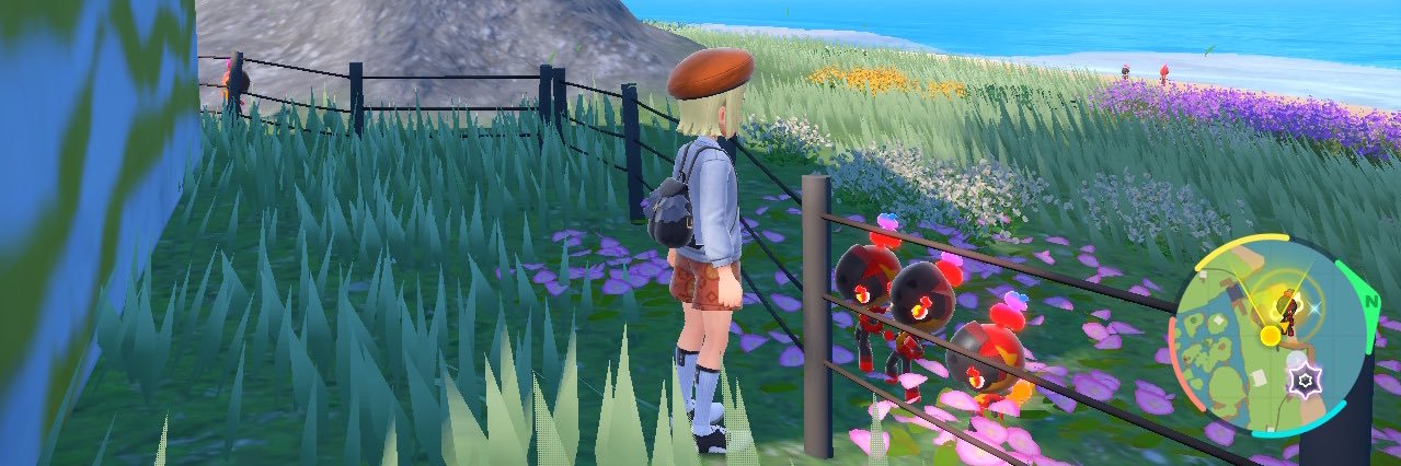 blanchataignier's profile banner image