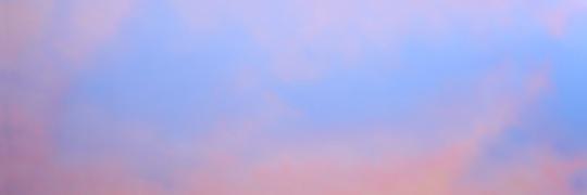 de la Cruz Collection banner