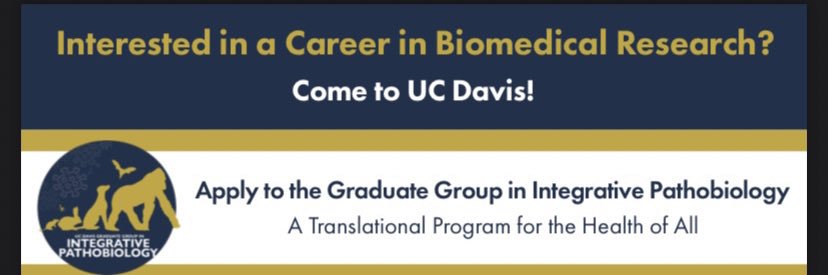 Graduate Group Integrative Pathobiology banner