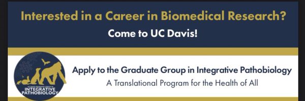 GGIPstudents Profile Banner