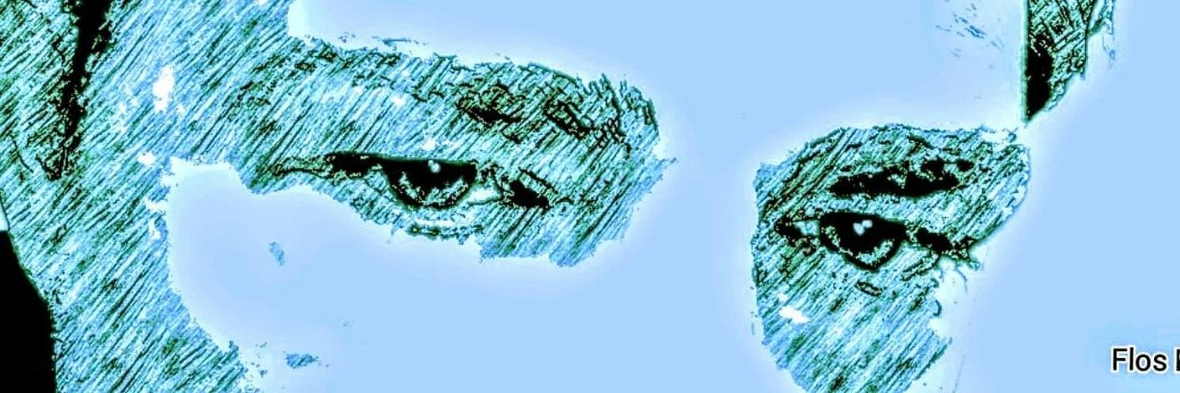 Real_Flos's profile banner image