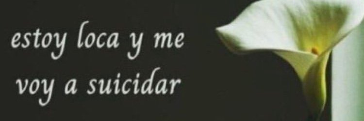 mar banner