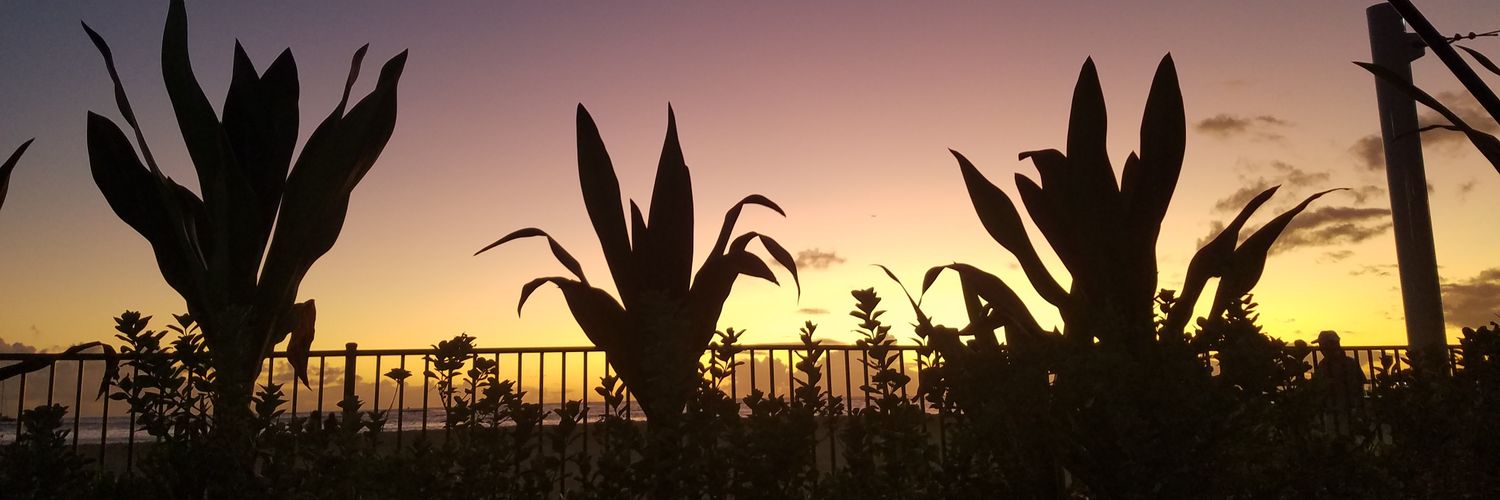 orangedust's profile banner image