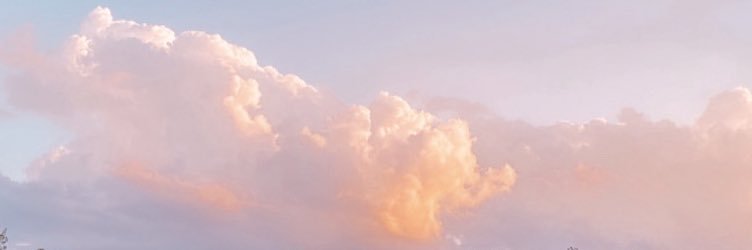 yewMAD_bRO's profile banner image