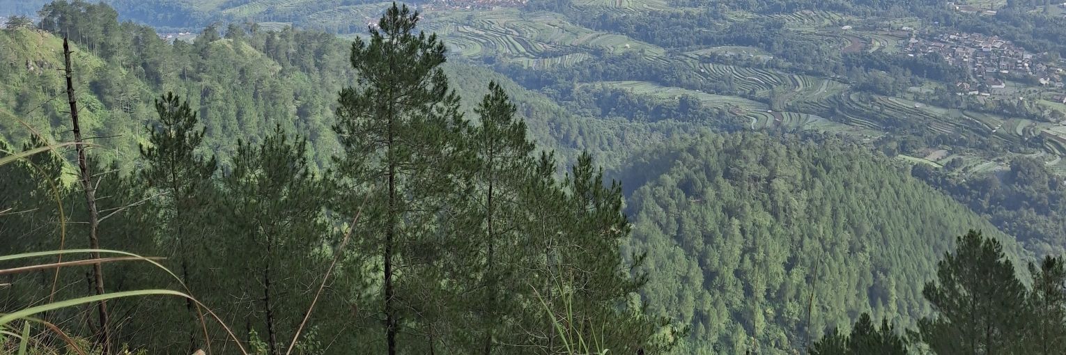 𝒜𝓊𝓁 banner