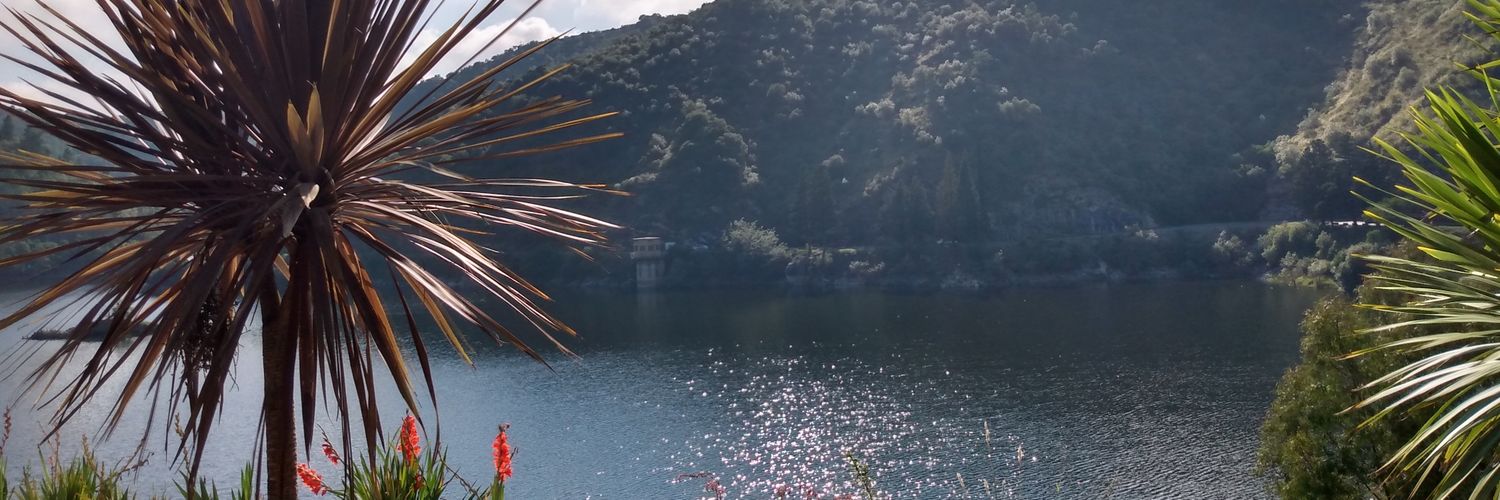 camiizapata's profile banner image