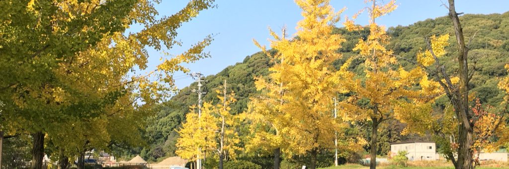 042019Yuuki's profile banner image