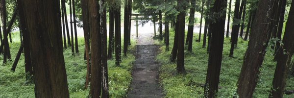sakuran0on1 Profile Banner