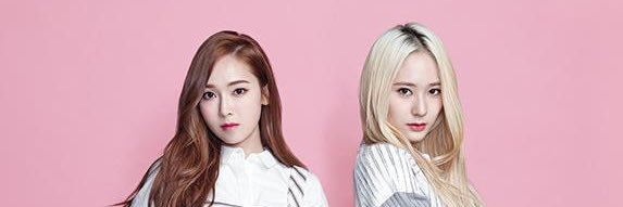 nic esnupi ୨ৎ banner