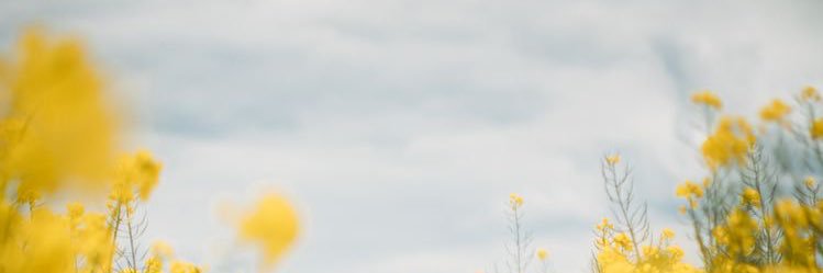 danh145's profile banner image