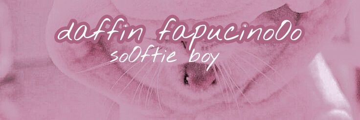 ༉‧₊˚✧ 𝙛𝙖𝙥𝙪𝙘𝙞𝙣𝙊𝙤 banner