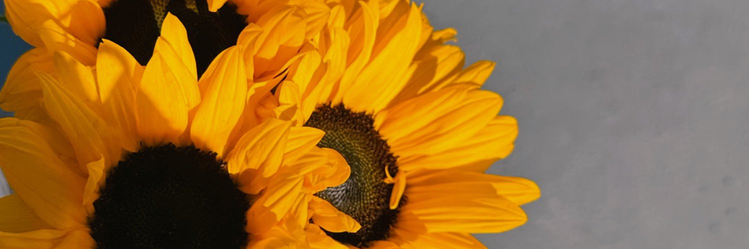 elise23_'s profile banner image