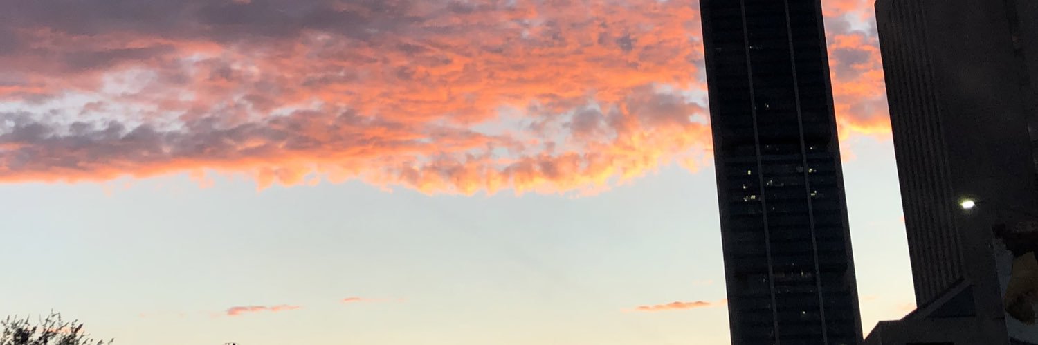 Bizzaner's profile banner image