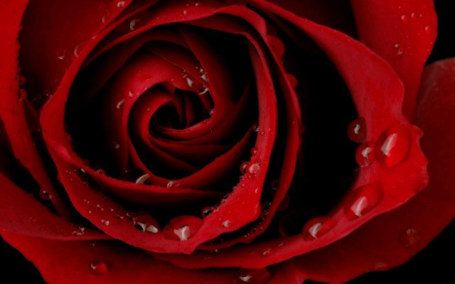 astarioji's profile banner image