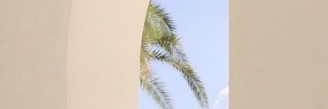 phenomenalmandy's profile banner image