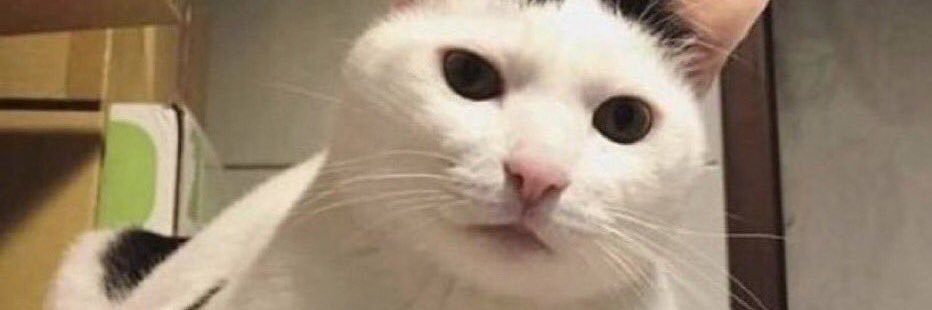 NiczRandomArts banner