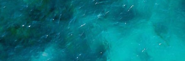 awwlarcon's profile banner image