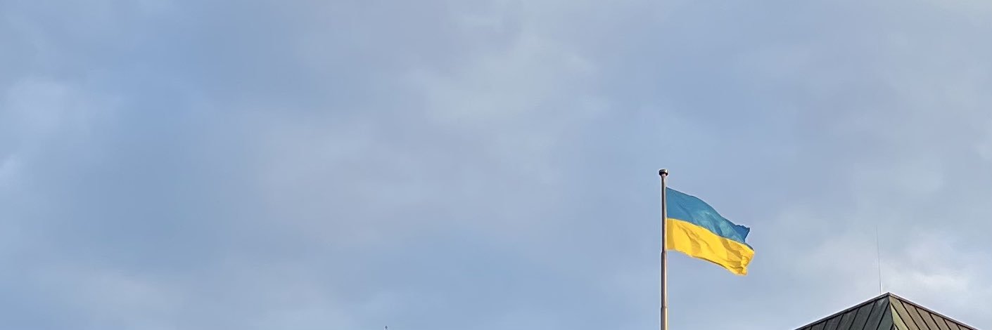 anly the delulu🇺🇦 banner