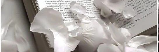 CaitlinBdls__'s profile banner image