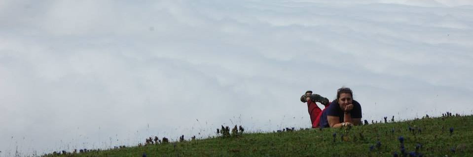 Aisat13's profile banner image