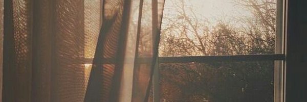 venicityss Profile Banner