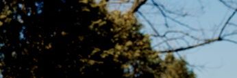 dongyoosn's profile banner image