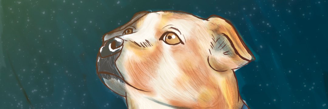 Ludwig banner