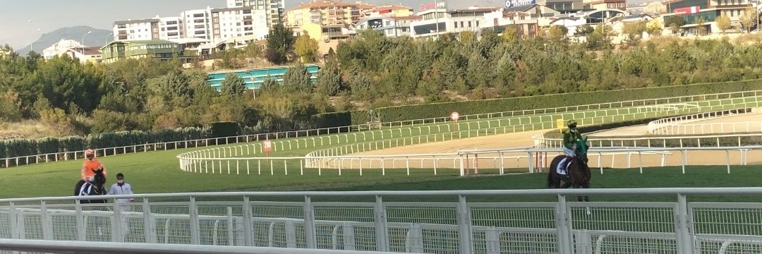 sadece at yarışı banner