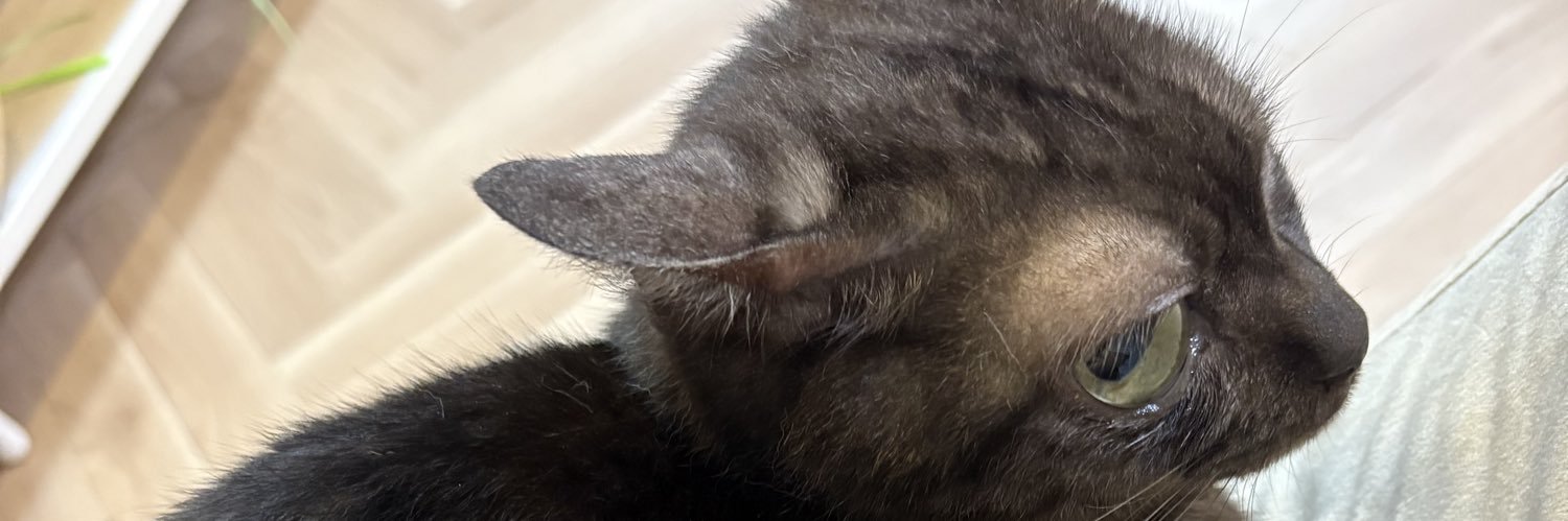 もっちーズ banner