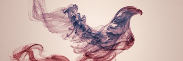 TJustin25 Profile Banner