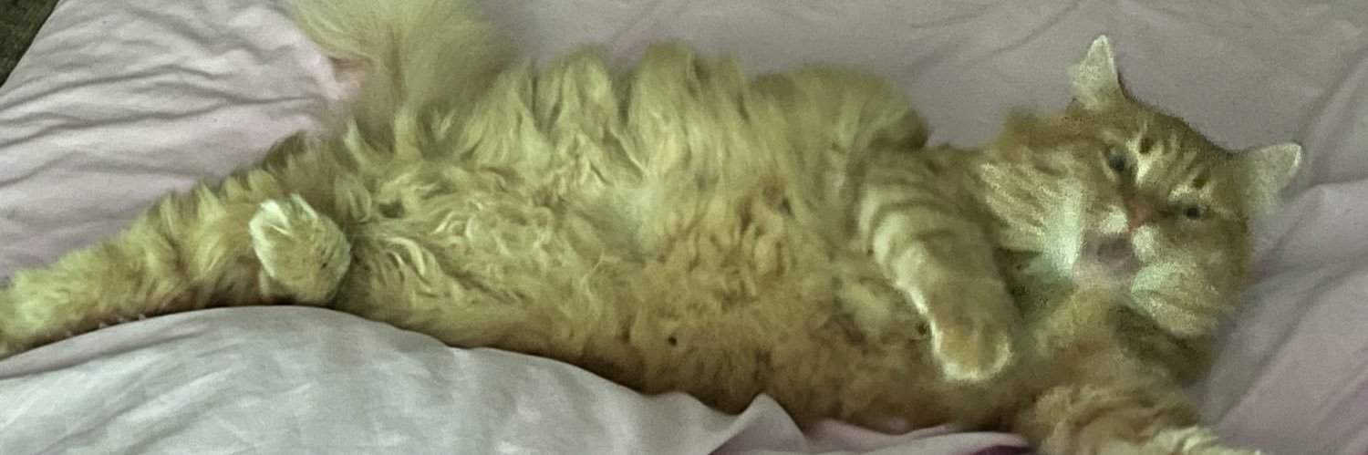 евгленка banner