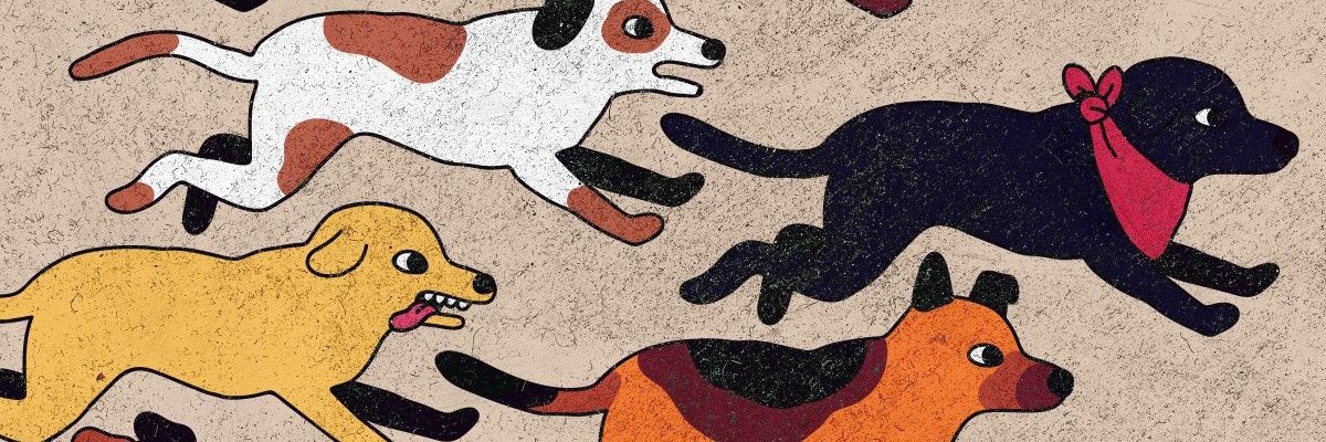 Bayoceballos's profile banner image
