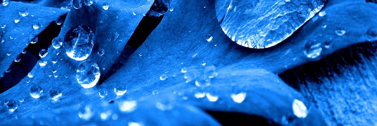 GerardvanWijk's profile banner image