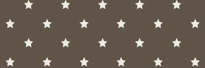 ตะจิ๋วริ๋ว🐾 banner