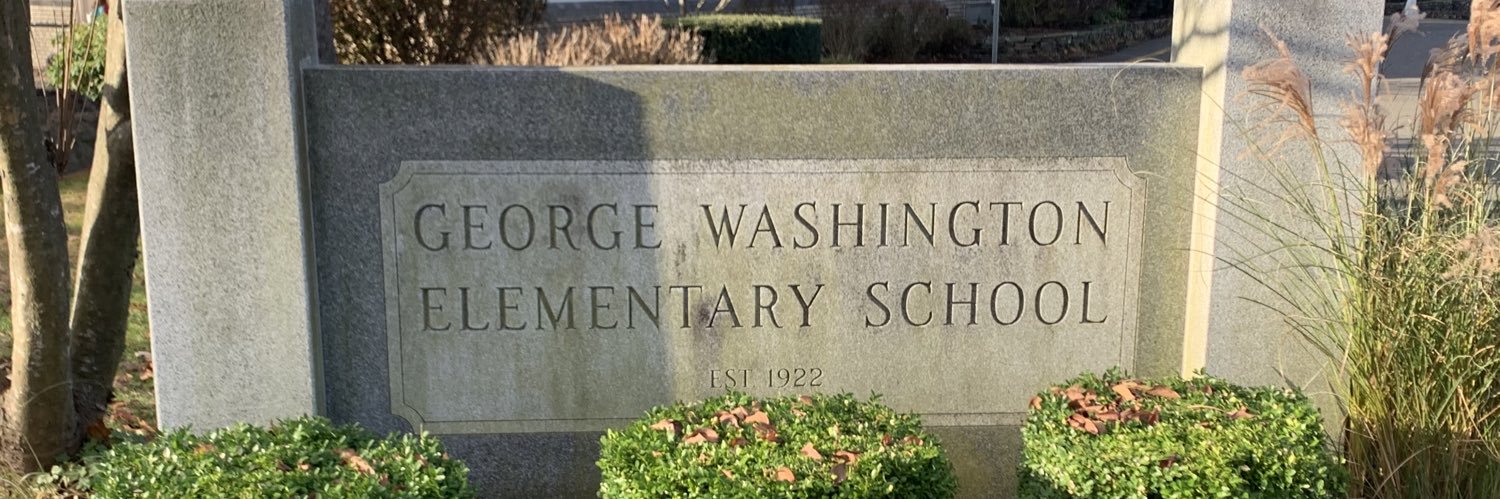 Mrs. D Washington School banner