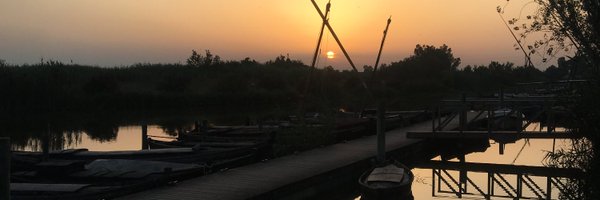 alejandromegar Profile Banner