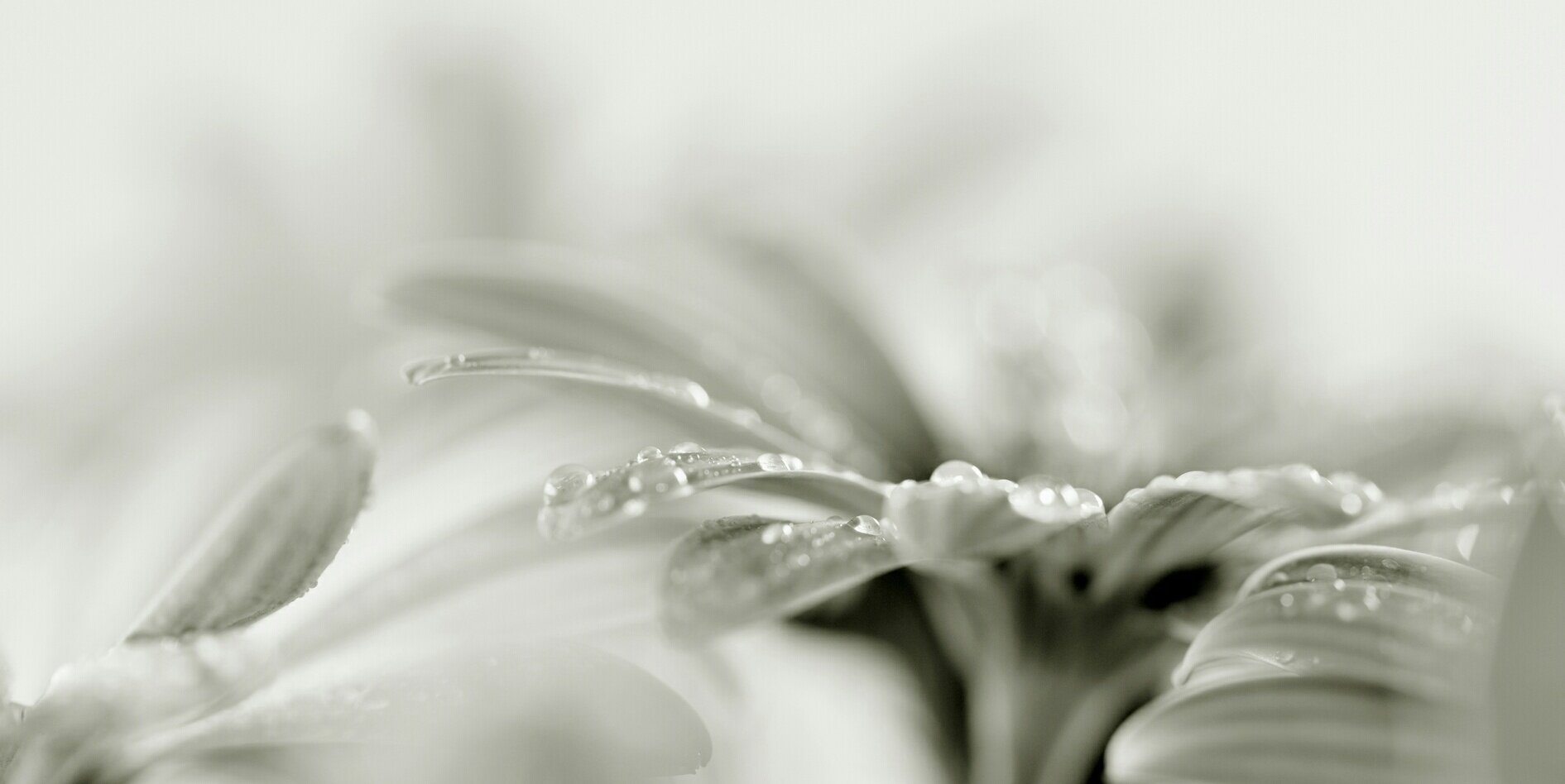 SAMAN0512's profile banner image