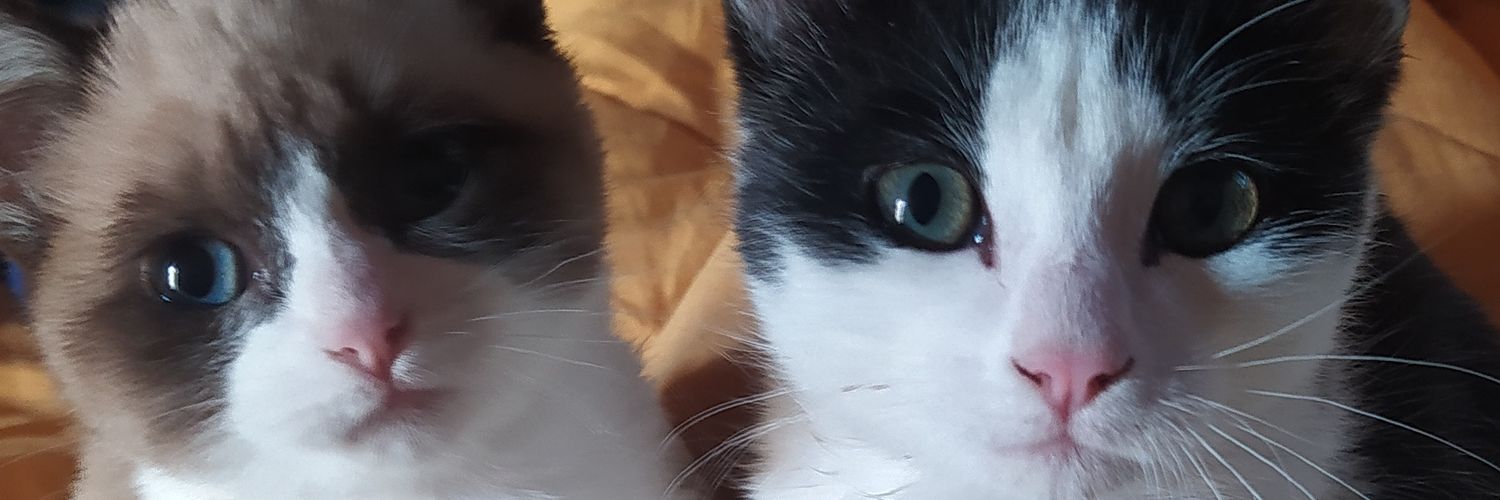 SSSantiM's profile banner image