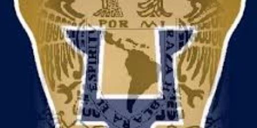 El Yortch de la selva banner