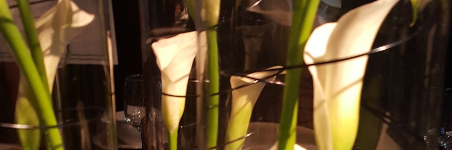 Connie Lawson-Davis banner