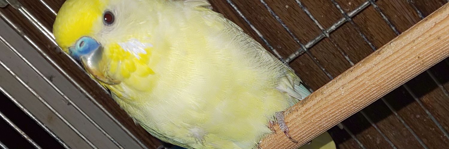 うららん１等賞@端之目葉下 banner