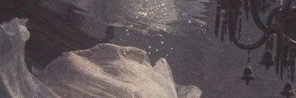 Kaidenslvtr banner