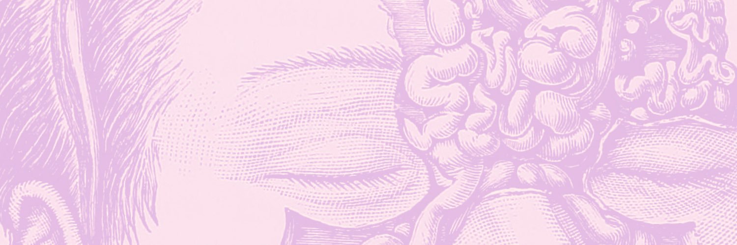 conv_devioleta's profile banner image