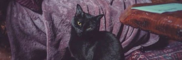 nighttpool Profile Banner