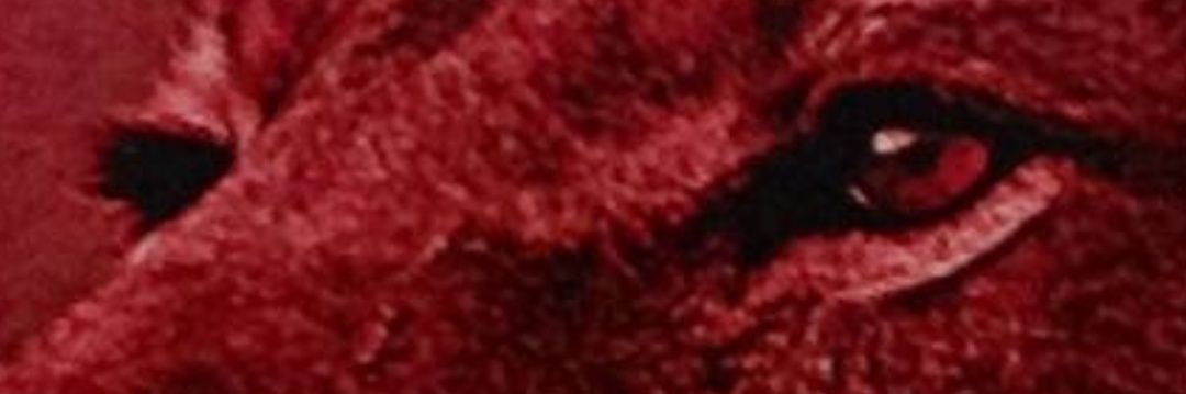 mesutan09's profile banner image