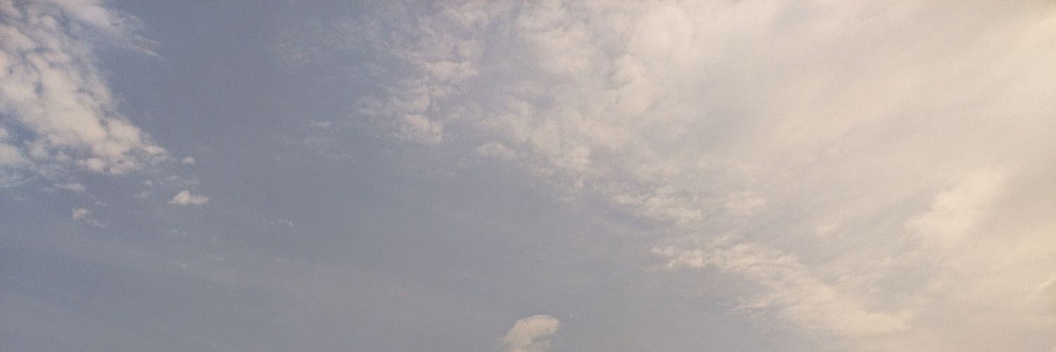 VGoguta's profile banner image