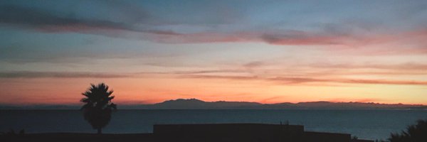 coralinelrtt Profile Banner