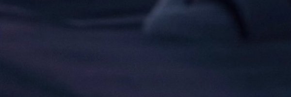 MetaProxies Profile Banner
