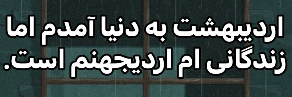 ببعی شمالی ولی ساکن در جنوب banner