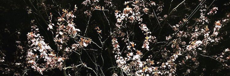 Martin Mendiharat ↙️↙️↙️ banner